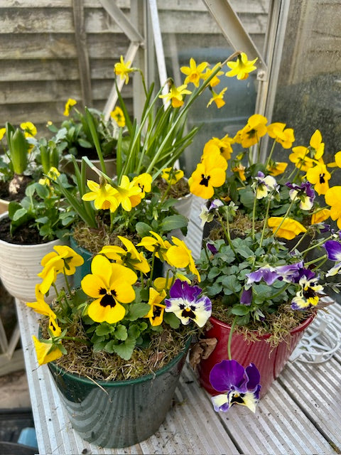 Mother's Day Flower Pots